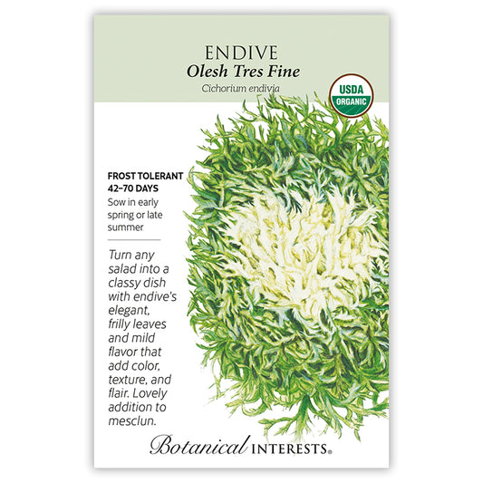 Endive Olesh Tres Fine Organic