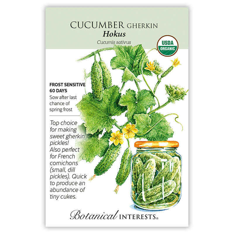 Cucumber Gherkin Hokus Organic