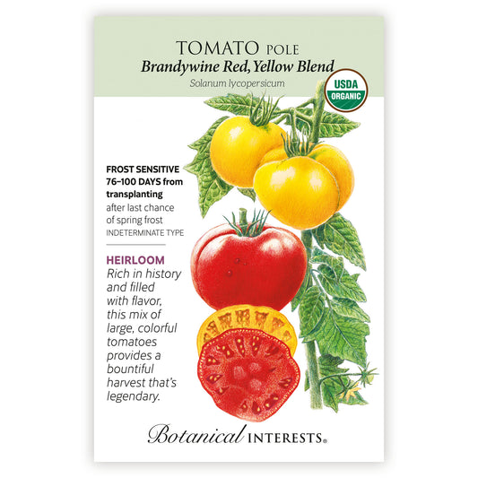 Toamto Pole Brandywine Red Yellow Organic