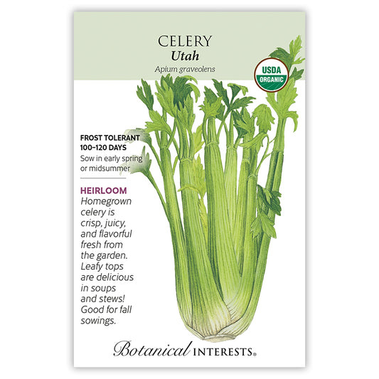 Celery Utah Organic