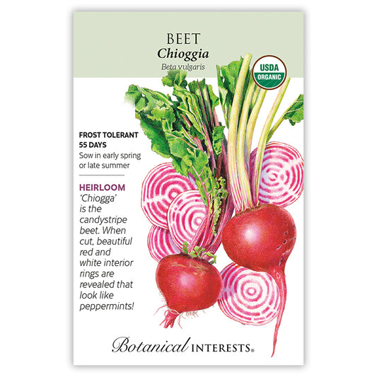 Beet (striped) Chioggia Organic