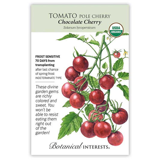 Tomato Cherry Chocolate Organic