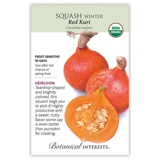 Squash Winter Red Kuri Organic