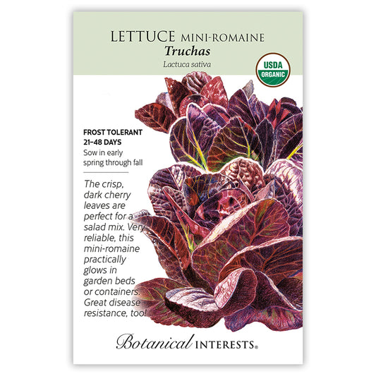 Lettuce Little Gem Truchas Organic