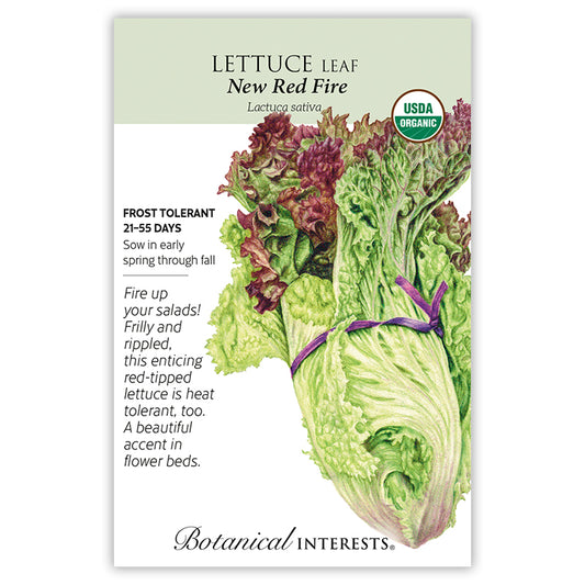 Lettuce New Red Fire Organic
