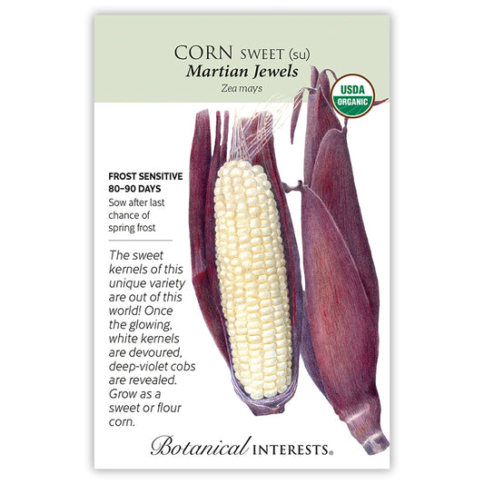 Corn Sweet white Martian Jewel Organic