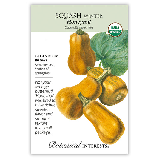 Squash Winter Honeynut Organic