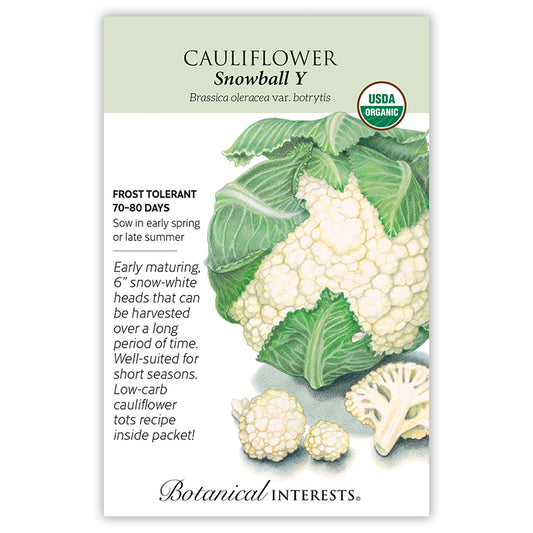 Cauliflower Snowball Y Organic