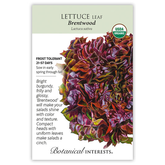 Lettuce Eazyleaf Brentwood Organic
