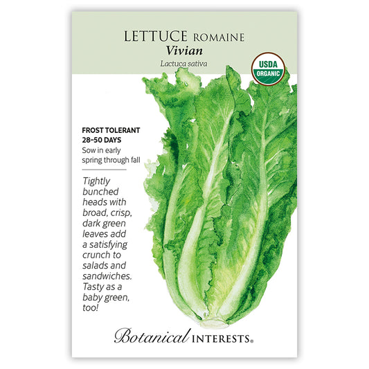Lettuce  Vivian Organic