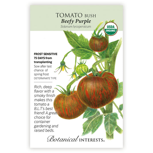 Tomato Beefy Purple Organic