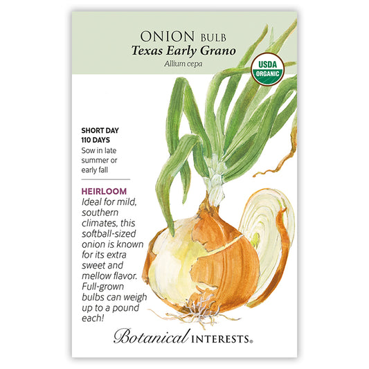 Onion Bulb Yellow TX Early Grano Organic  SD