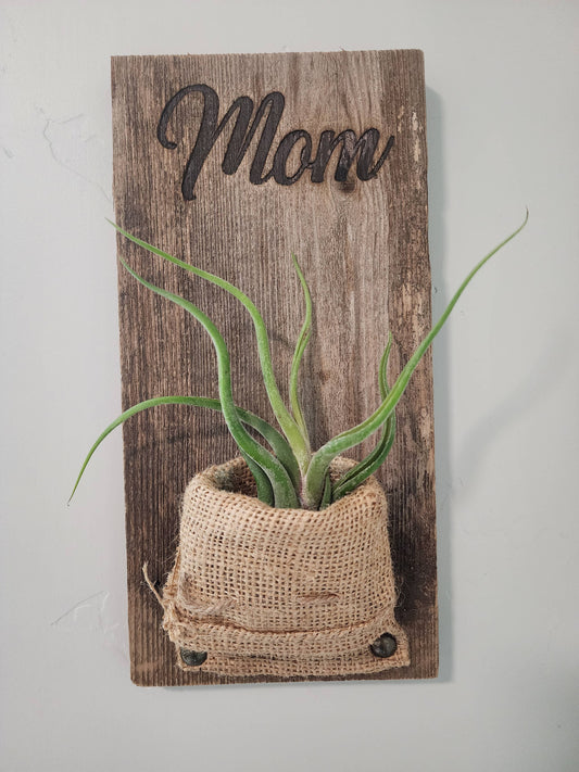 Burlap and Wood Wall Pocket Mom Planter  (With Air Plants)