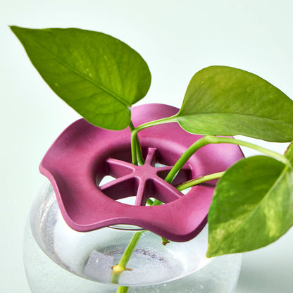 Botanical Keepers - Set of 2