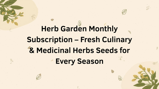 Herb Garden Monthly Subscription – Fresh Culinary & Medicinal Herbs Seeds for Every Season