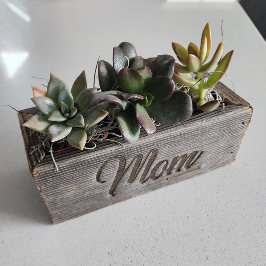 Reclaimed Wood Succulent Mom Planter - Small