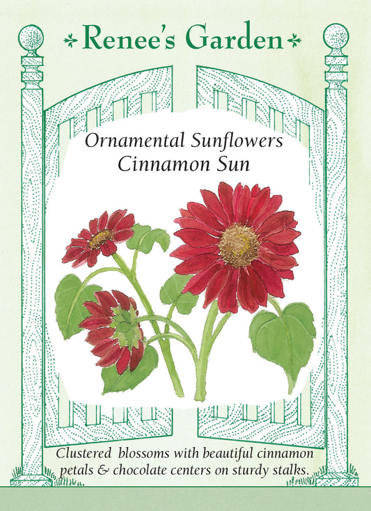 Sunflower Cinnamon Sun