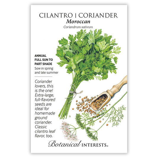 Cilantro Moroccan