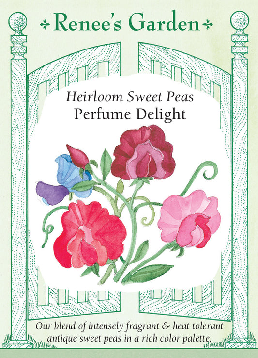 Sweet Pea Perfume Delight