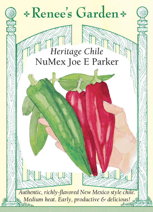Pepper Chile Numex Joe Parker