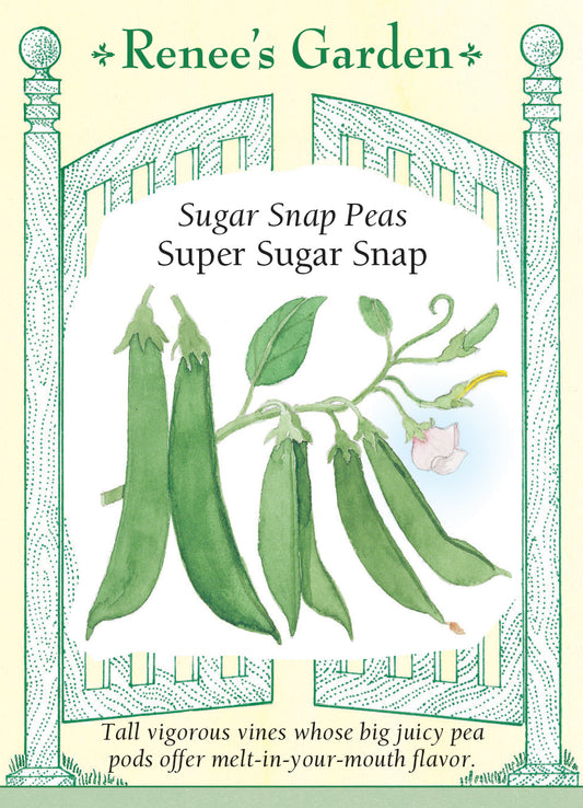 Pea Snap Super Sugar Snaps