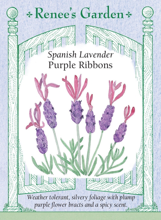 Lavender Purple Ribbons Spanish