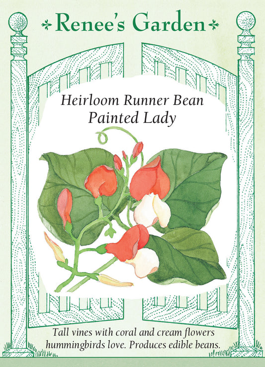 Runner Beans Painted Lady
