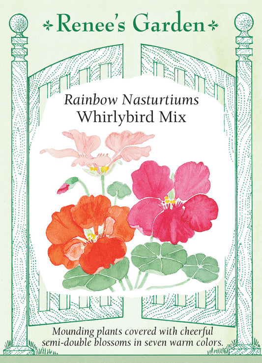 Nasturtium Whirlybird