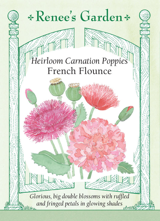 Poppy Carnation French Flounce