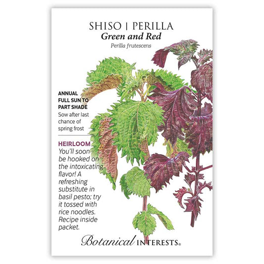 Shiso/Perilla Green/Red