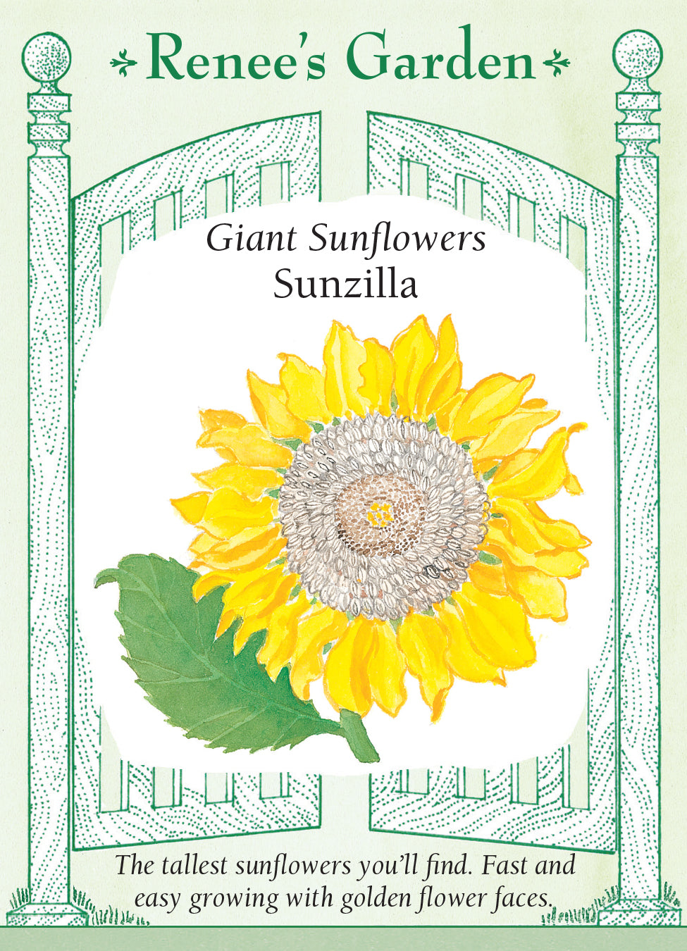 Sunflower Sunzilla Giant