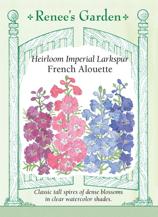 Larkspur Imperial Alouette