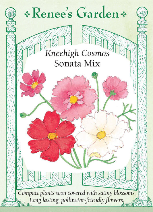 Cosmo Sonata Knee High Mix