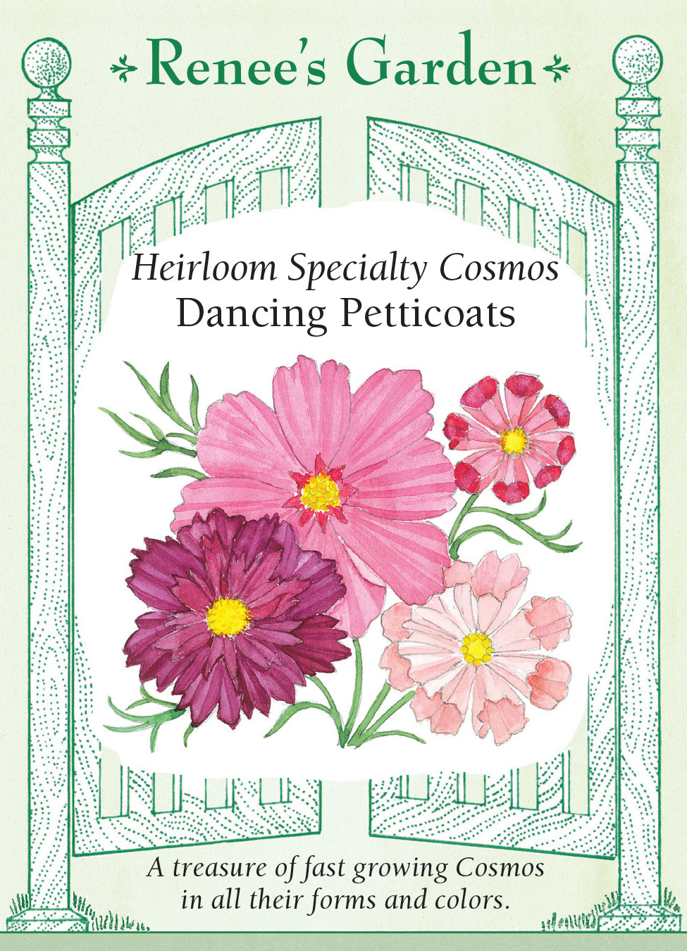 Cosmos Dancing Petticoats