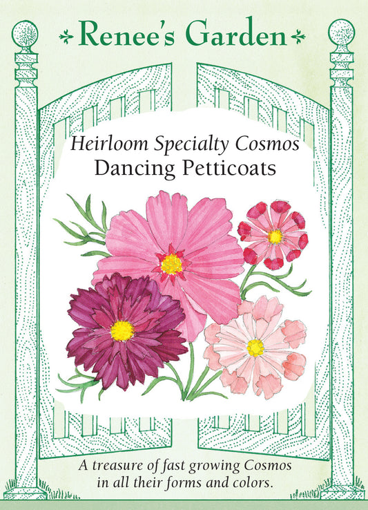 Cosmos Dancing Petticoats