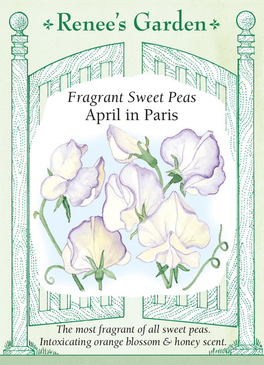 Sweet Peas April in Paris