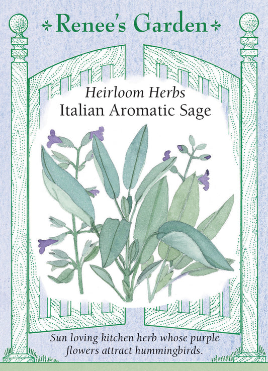 Sage Italian Aromatic