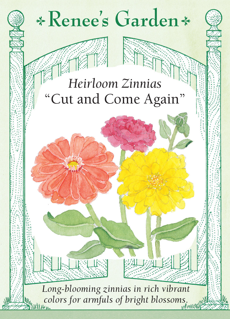Zinnia Cut & Come Again