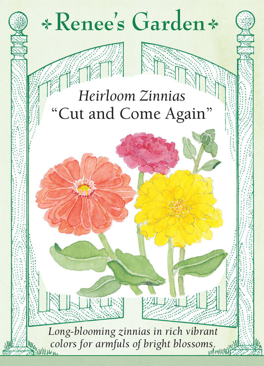 Zinnia Cut & Come Again