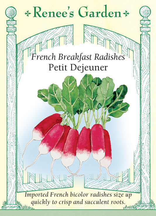 Radish Petit Dejeuner