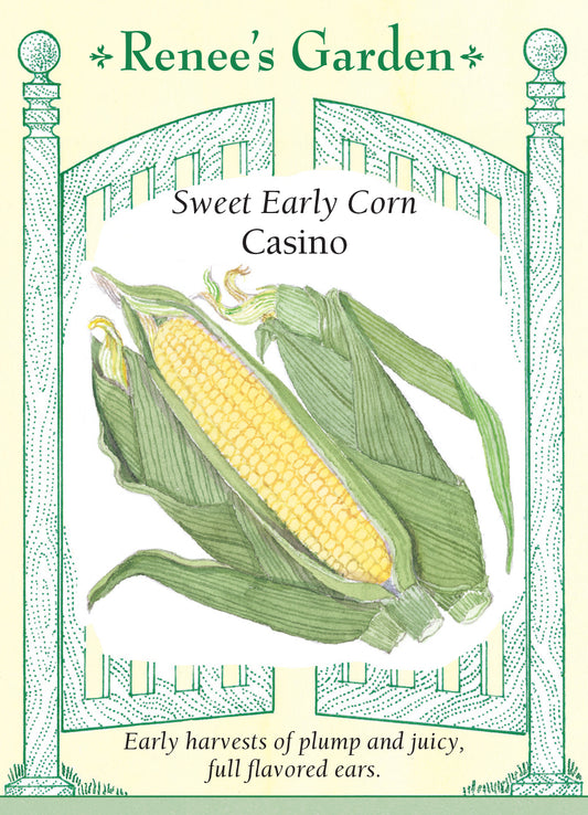 Corn Casino Yellow