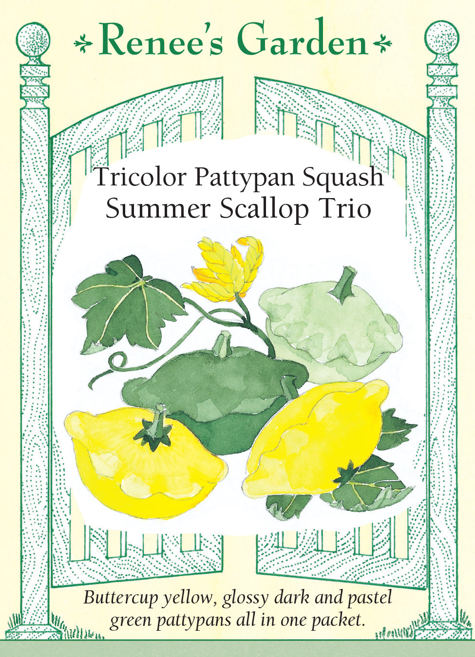 Squash Summer Scallop Trio