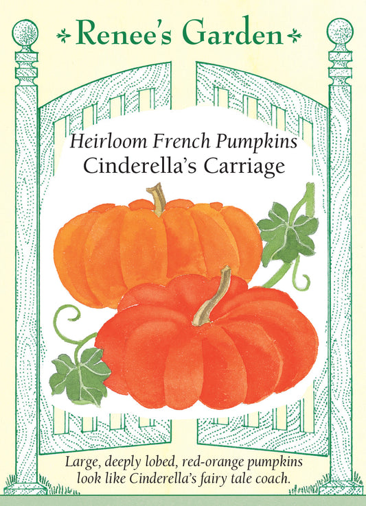 Pumpkin Cinderella's Carriage