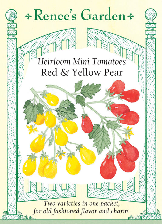 Tomato Pear Red & Yellow Mini