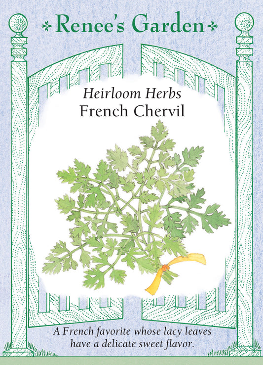 Chervil French