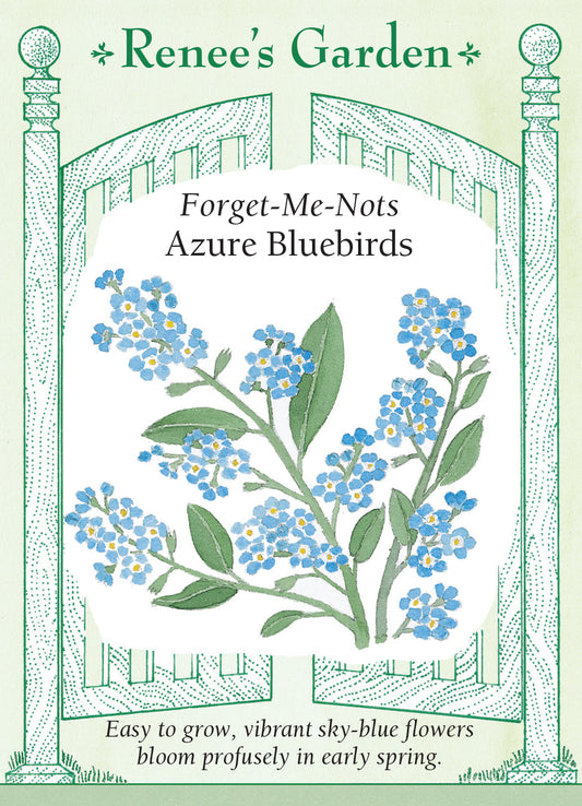 Forget-Me-Not Azure Bluebirds