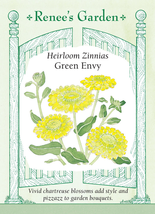 Zinnia Green Envy
