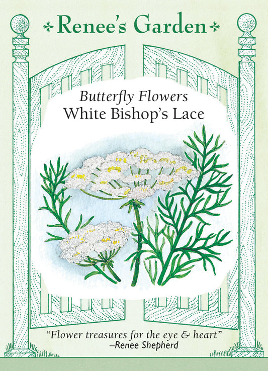 Bishop's Lace White