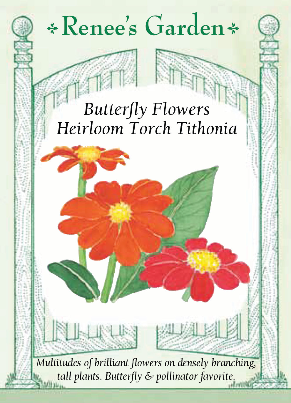 Tithonia Torch (Mexican Sunflower)