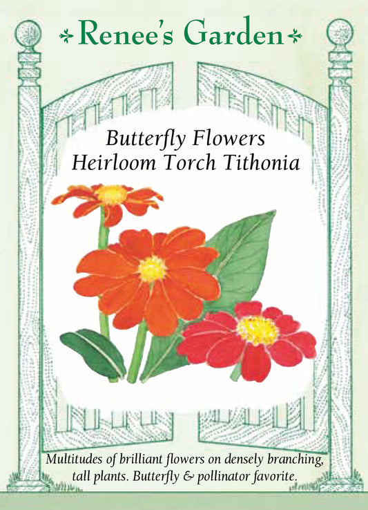 Tithonia Torch (Mexican Sunflower)